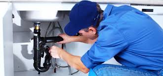 Best Gas Line Installation and Repair  in White Pine, TN